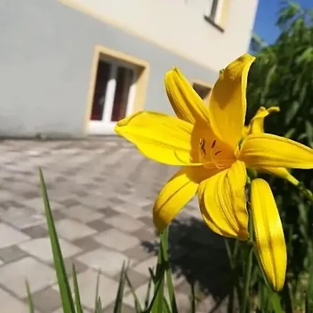 Haus Am Apfelbaum Bad Sackingen